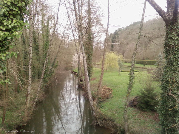 forêt