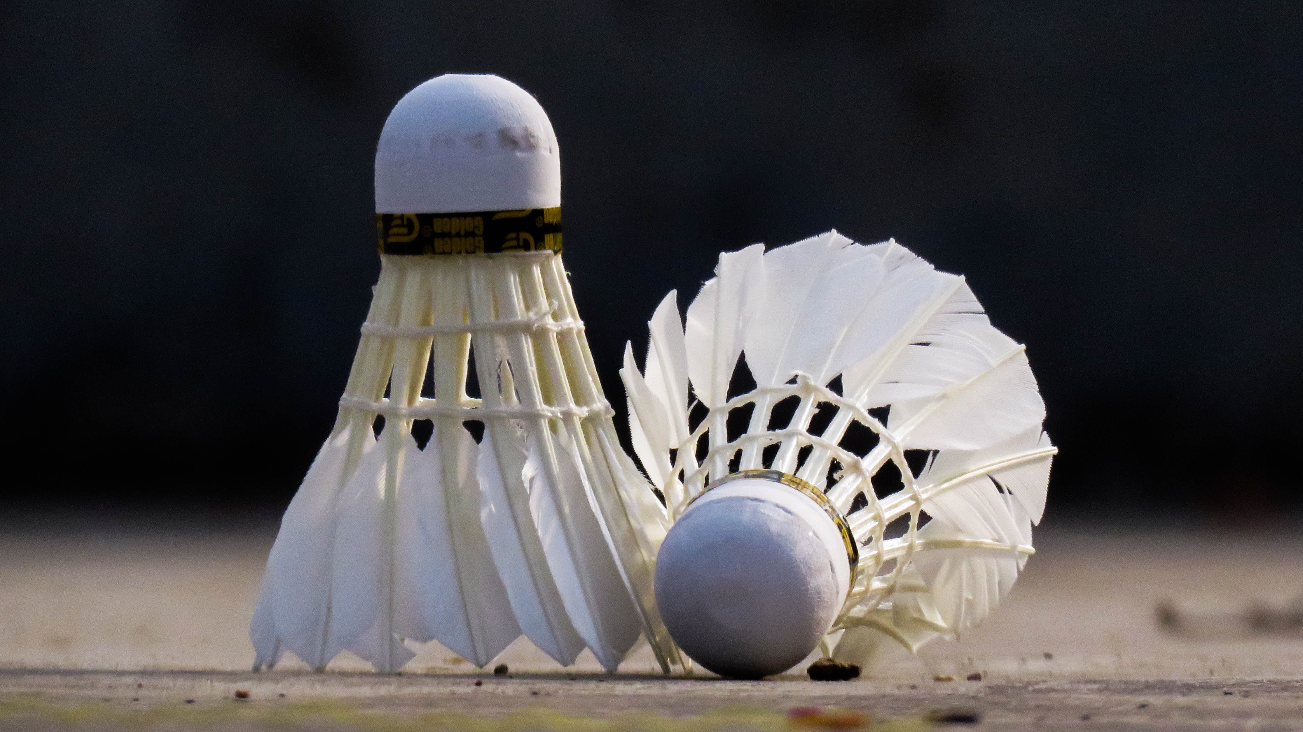 Volant Badminton