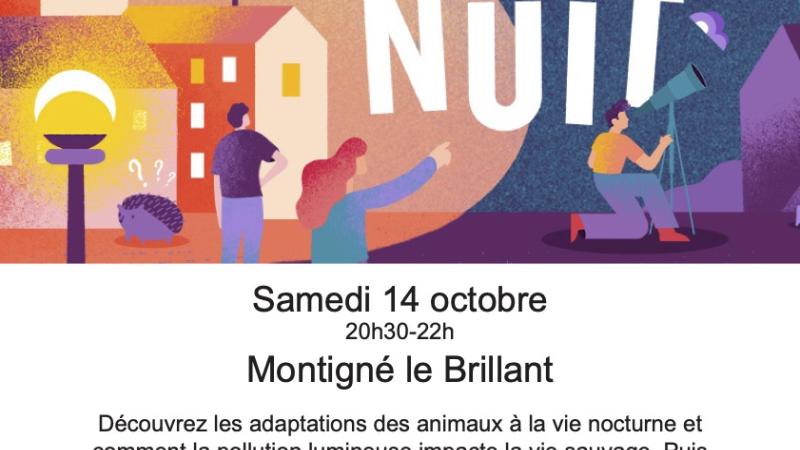 Jour de la Nuit