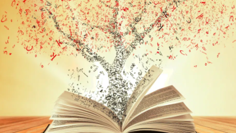 Nuits de la lecture 