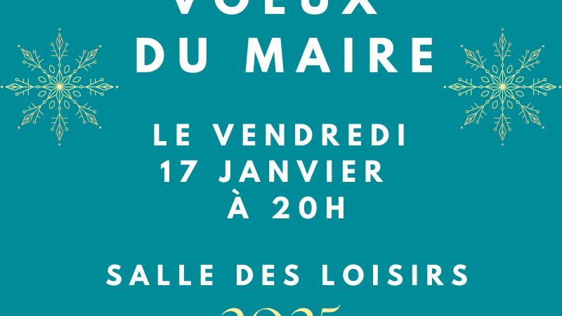 Voeux du Maire - Vendredi 17 janvier 20h - Salle des Loisirs
