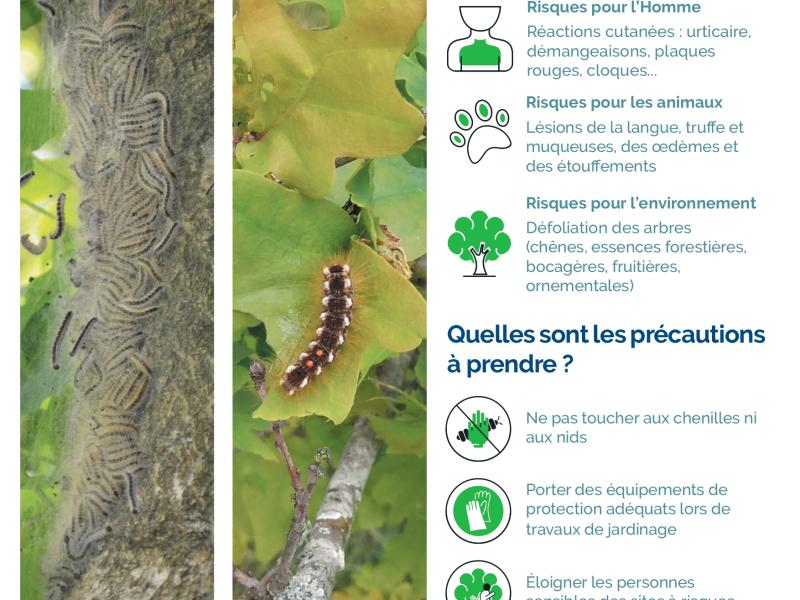 Lutte Collective Chenilles Processionnaires 